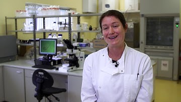 The importance and interpretation of Faecal Egg Counts as part of the BEEP - S Programme