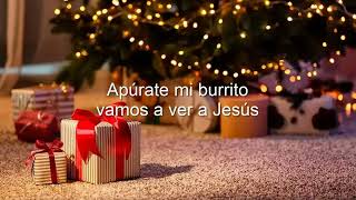 Juanquicho - El Burrito Sabanero