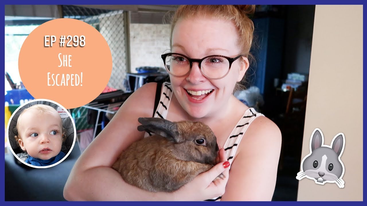 SHE ESCAPED! // Ep#298 *Australian Family Vlog* vlogs in spanish