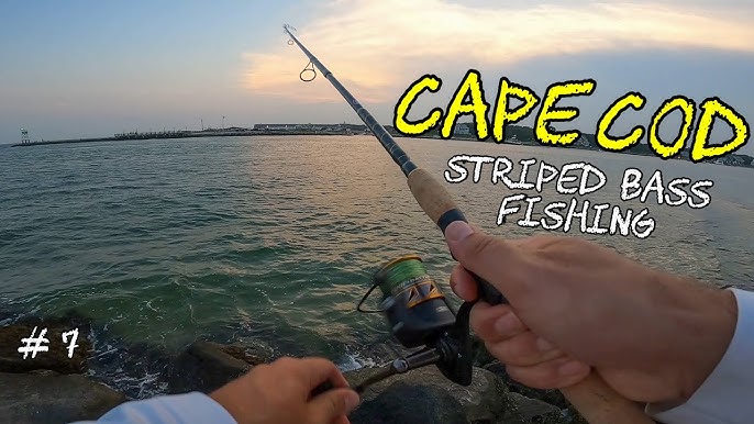 The Most Versatile Inshore Rod and Reel Combo Under $200 