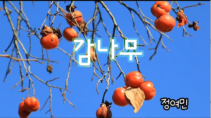 문학 영재 소년 '정여민' 의 동시 - 감나무-  SBS 영재 발굴단-마음의 온도는 몇 도 일까요?에 수록