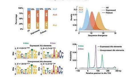 Zhiping Weng: Atlas of polymerase III-transcribed Alu elements across human cell types and tissues