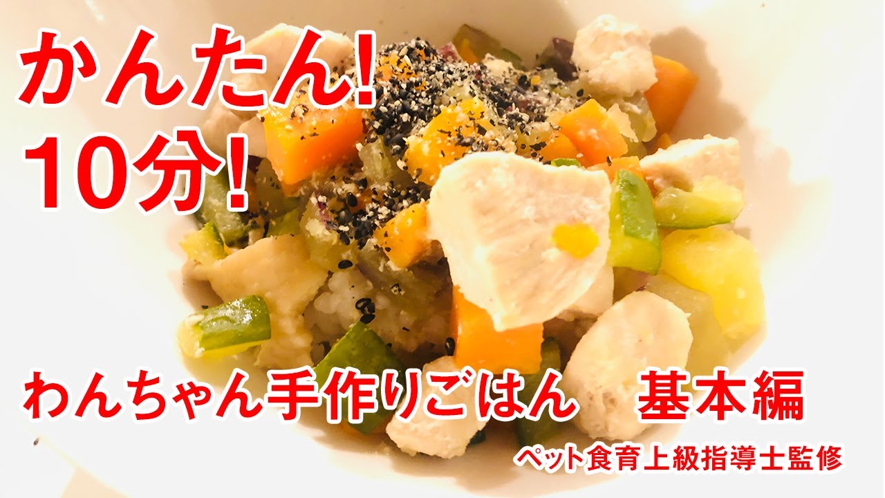 簡単！１０分！ペット食育上級指導士監修：わんちゃんの手作りごはんの作り方（基本編）