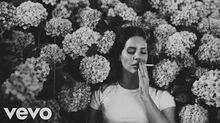 Lana Del Rey - Silver & Smoke (Official Lyrics Video)