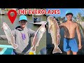 Catching BIG Snook, redfish, and Trout in the EVERGLADES!!!