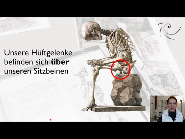 Bein- und Rumpfbewegung sortieren: Becken und Hüftgelenke verstehen.