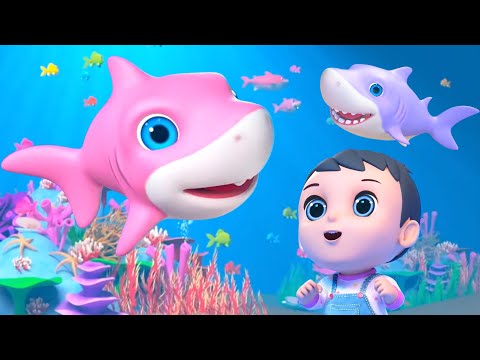 baby-shark-song-+-more-kids-songs-&-baby-nursery-rhymes-by-little-treehouse