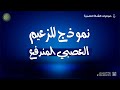 نموذج للزعيم العصبي المندفع نموذج للزعيم العصبي المندفع