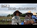 【自然農】川口由一さんのお米作り♯２苗床の手入れとオケラ対策のお話 2020/6/20　[Natural farming] Kawaguchi's rice making ♯2