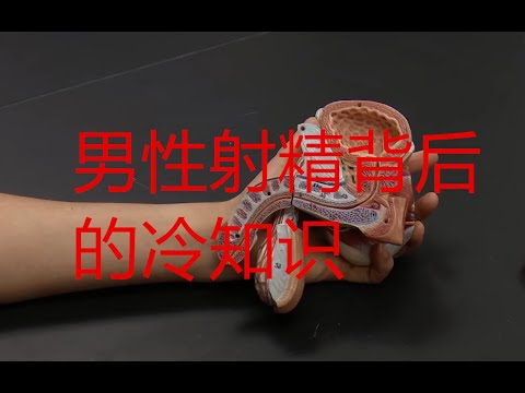 男性射精背后的冷知识