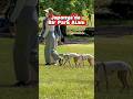 Japonya’da bir park alanı…