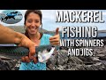 Mackerel Fishing from the shore | TAFishing