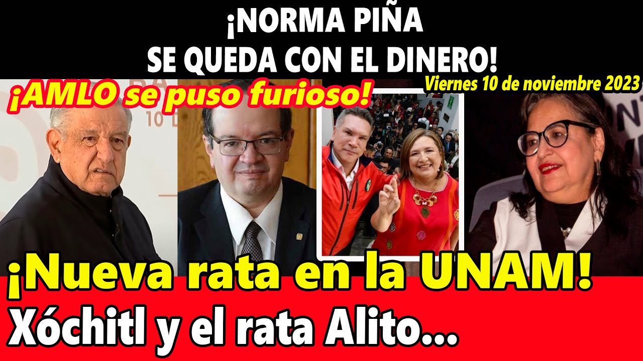 ¡AMLO se puso furioso! Norma Piña se queda con el dinero ¡Nueva rata en ...