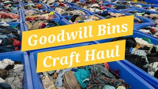 I Went to the Goodwill Bins for Craft Supplies… Look What I Found!