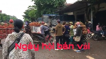 GIÁ VẢI PHIÊN CHỢ LỤC NGẠN  HÔM NAY / 13 / 6 /  2022  - Bắc Giang