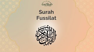 Surah Fussilat 1-24 auf deutsch mit Erklärung