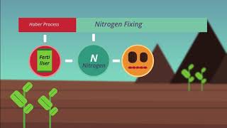 The Nitrogen Cycle Chemistry for All   FuseSchool