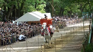 人馬一体の勇壮な妙技