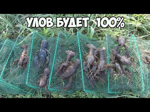 КАК ПОЙМАТЬ РАКОВ.ВСЕГДА БУДЕТЕ С УЛОВОМ ЕСЛИ ПОСМОТРИТЕ ЭТО ВИДЕО