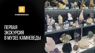 Первая экскурсия в музее Камневеды