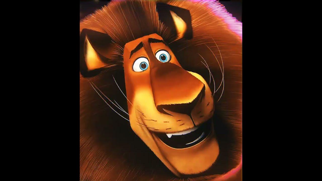MADAGASCAR - FIREWORK (Katy Perry) MADAGASCAR - FIREWORK (Katy Perry)