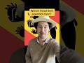 Warum heisst Bern eigentlich Bern? #shorts