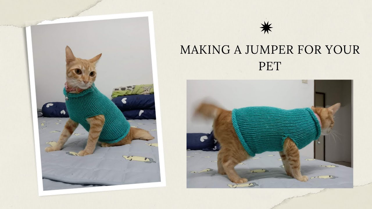 How To Make A Pet Jumper Using A Circular Knitting Machine YouTube