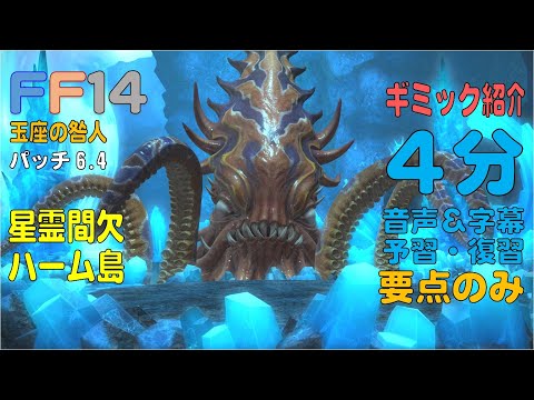[FF14]6.4星霊間欠 ハーム島 ギミック紹介 ４分 音声 字幕 予習・復習 要点のみ ダンジョン