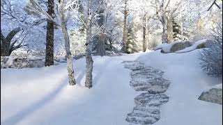 Снежная поляна. Заснеженный лес. Зимняя атмосфера. Snow field. Winter forest