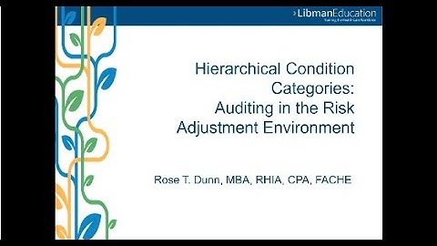 Hierarchical Condition Categories: Auditing in the Risk Adjustment Environment: The Auditor