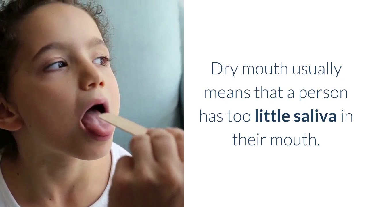 6 Health Benefits Of Marshmallow Root YouTube