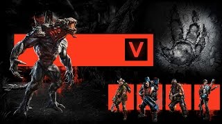 Evolve Stage 2 Update