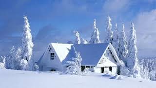 سورة النحل | تلاوة نادرة مؤثرة | أبو بكر الشاطري