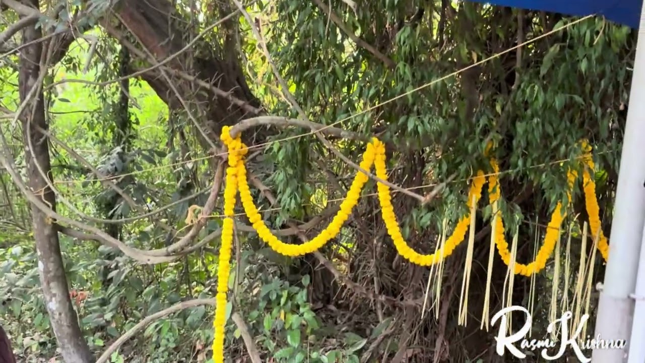 മണിനാഗമായി മാറി പെൺകുട്ടി | കാണേണ്ട നാഗം തുള്ളൽ