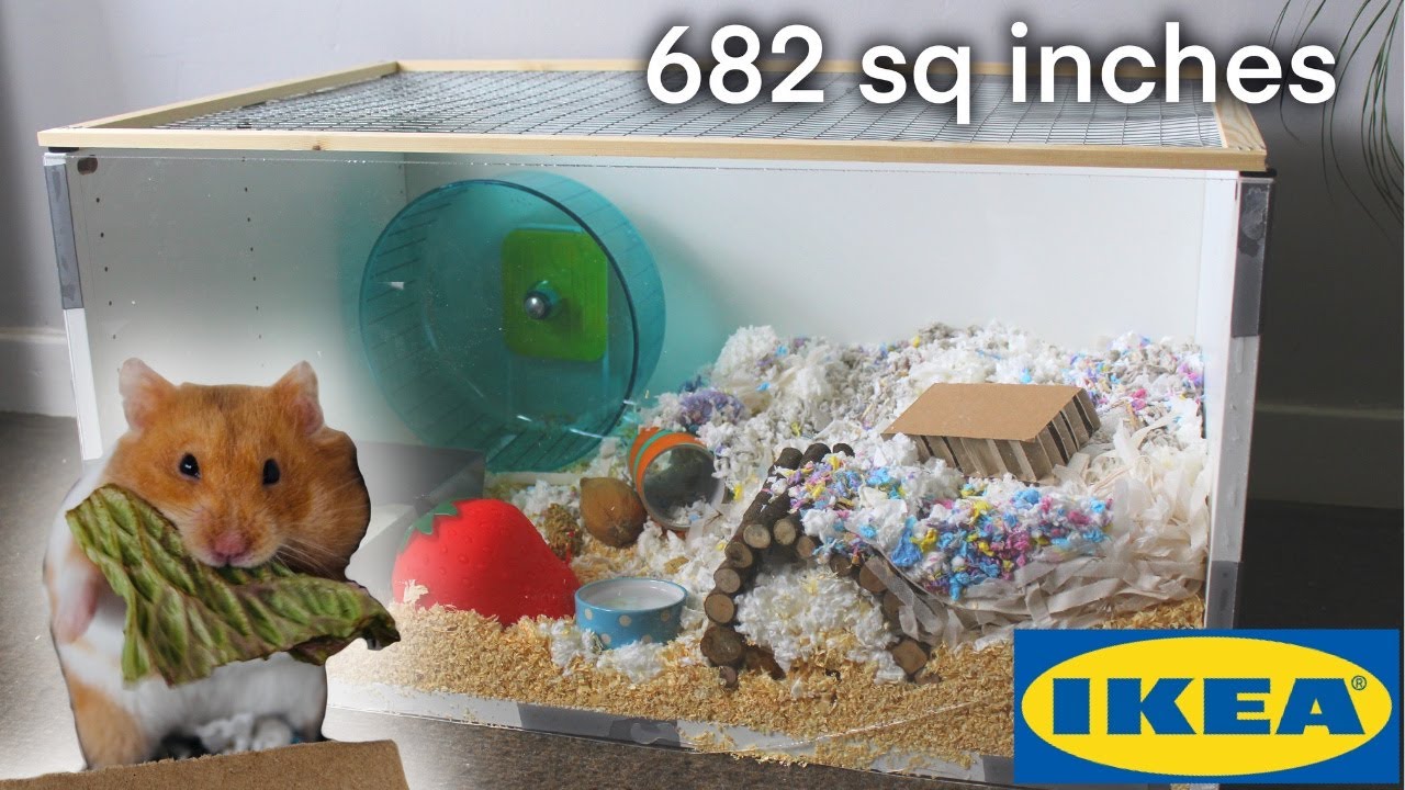 Voorafgaan beheerder kiezen A cheap and easy IKEA hamster cage tutorial (no tools!) - YouTube