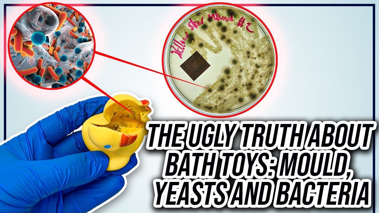 The Scary Truth About Your Child's Bath Toys & How to Make Them