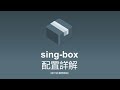 sing-box配置詳解 | 客户端服务器端配置 | 自行配置
