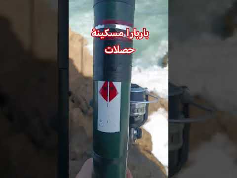 باربارا مسكينة حصلات من الريف إلى الصحراء المحيط الأطلسي المغرب الامارات الصيد بالقصبة