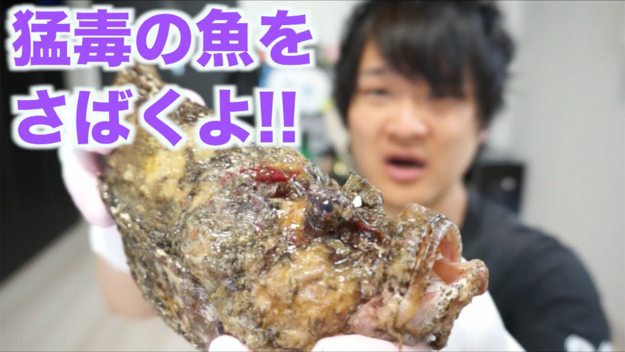 We will fillet a highly poisonous fish and eat it as sashimi