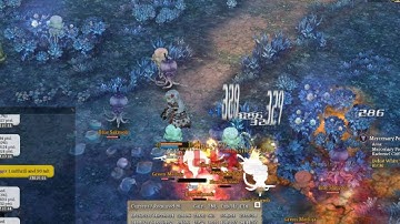 Cross Fire & khasti bow +7 (3 lvl6 green gem = 96crit rate)