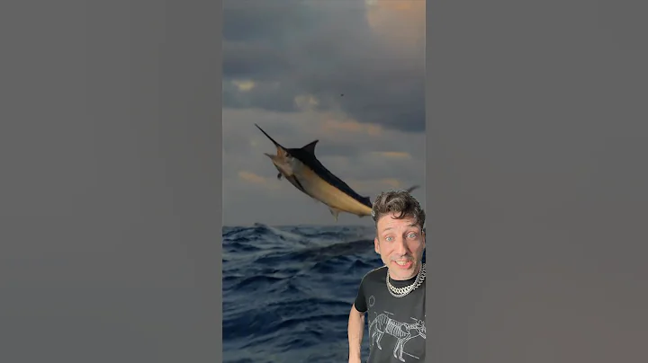 The Black Marlin is a fisherman’s worst fear