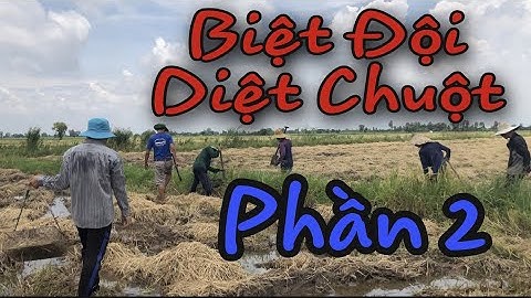 Săn Bắt Chuột Đồng Miền Tây | Phần 2 | Người Nhà Quê