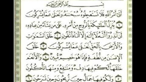 سورة النحل صوت جميل M&S.💔