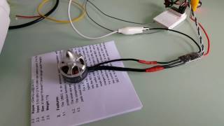 faulty little bee esc