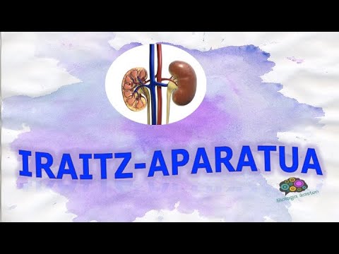 Iraitz aparatua