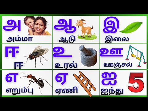 அ-அம்மா ஆ-ஆடு/அஆஇஈ/Uyireluthukkal/உயிரெழுத்துக்கள்/Tamil Alphabets @PEEKABOO-ff8wq #uyireluthukka