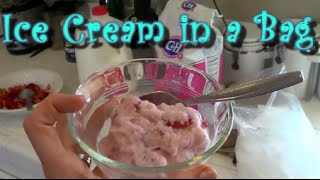 How to Make Ice Cream in a Bag!