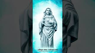 #kreupasanam #kreupasanammarianmiracle #kreupasanammarianudampadi