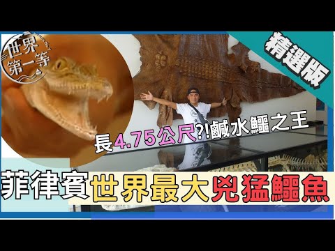 【菲律賓】賭命拍攝!!尋找世界最大鱷魚?!長4.75公尺朝猛利齒超可怕 ｜《世界第一等》#444 精華版 #小馬