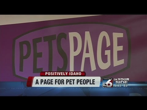 Local start-up makes website for pet lovers